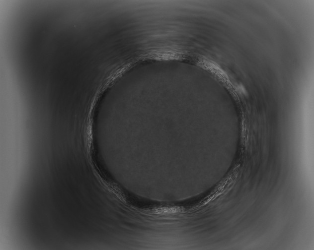 X0000097950202200803241200