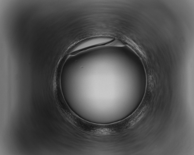 X0000097950203200803241200