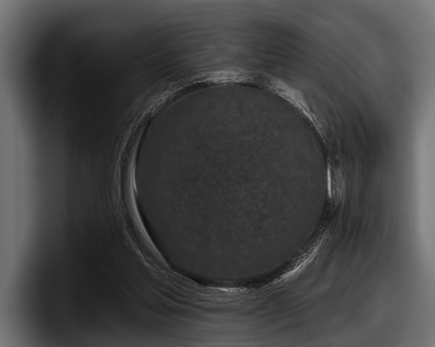 X0000097950205200803241200