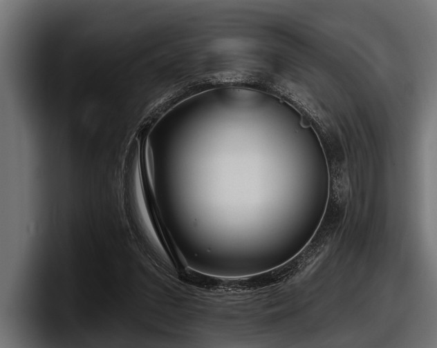 X0000097950207200803241200