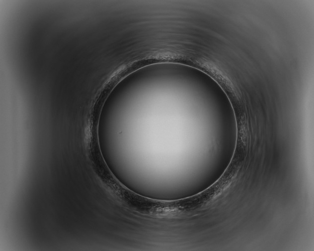 X0000097950208200803241200