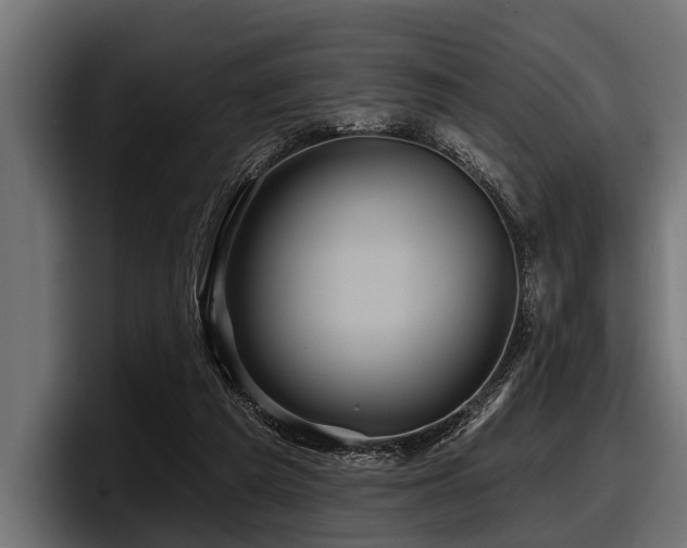 X0000097950209200803241200