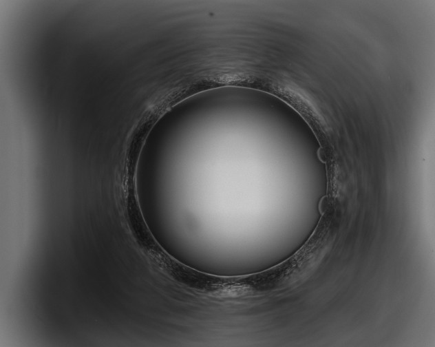 X0000097950210200803241200