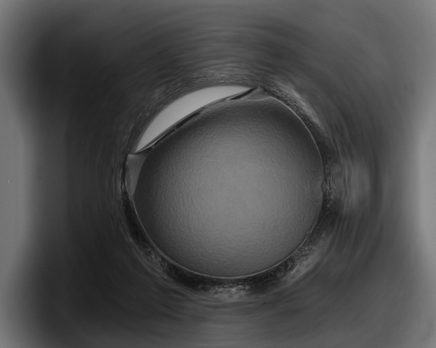 X0000097950213200803241200