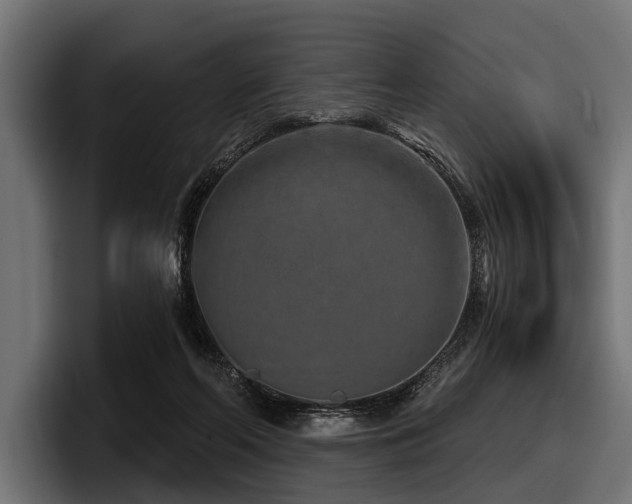 X0000097950214200803241200