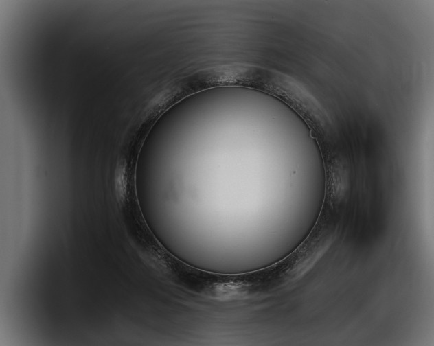 X0000097950216200803241200
