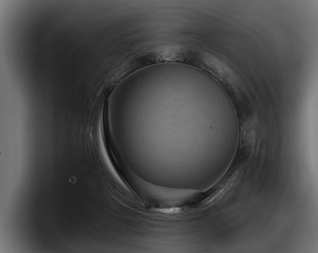 X0000097950217200803241200