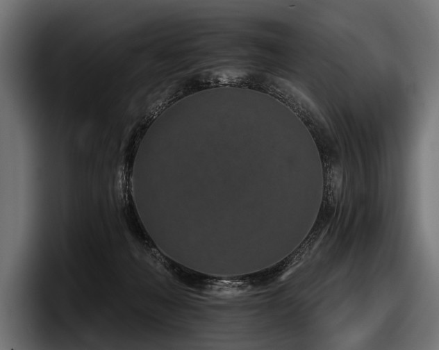 X0000097950222200803241200