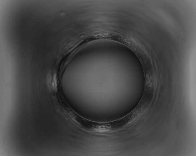 X0000097950223200803241200