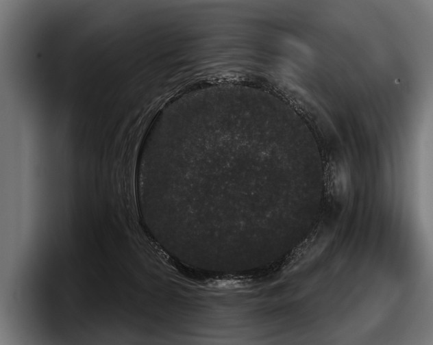 X0000097950224200803241200