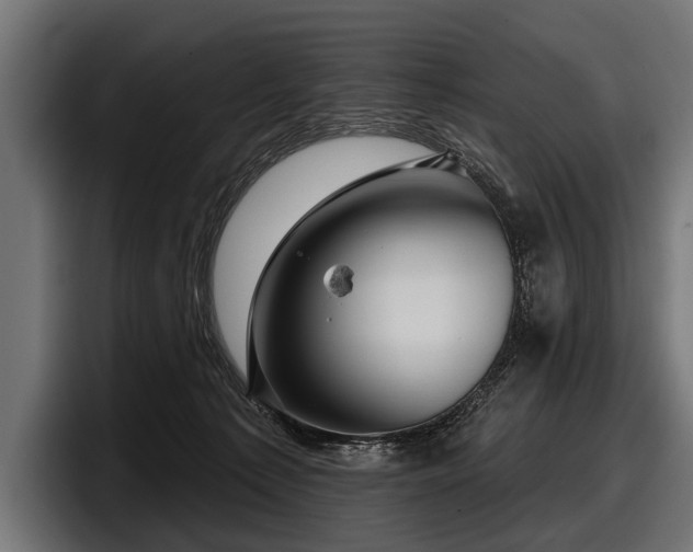 X0000097950225200803241200