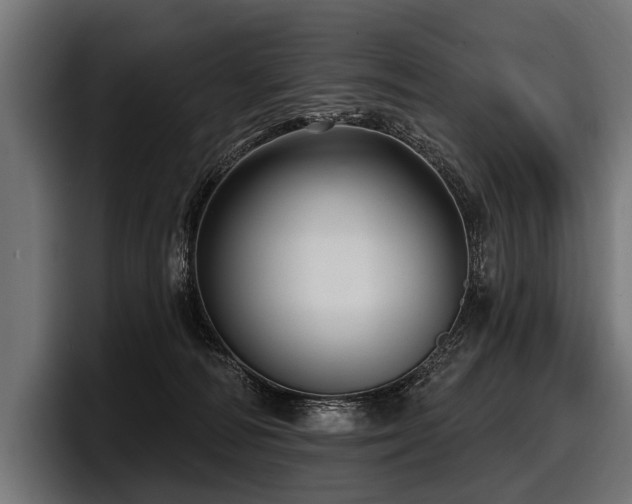 X0000097950226200803241200