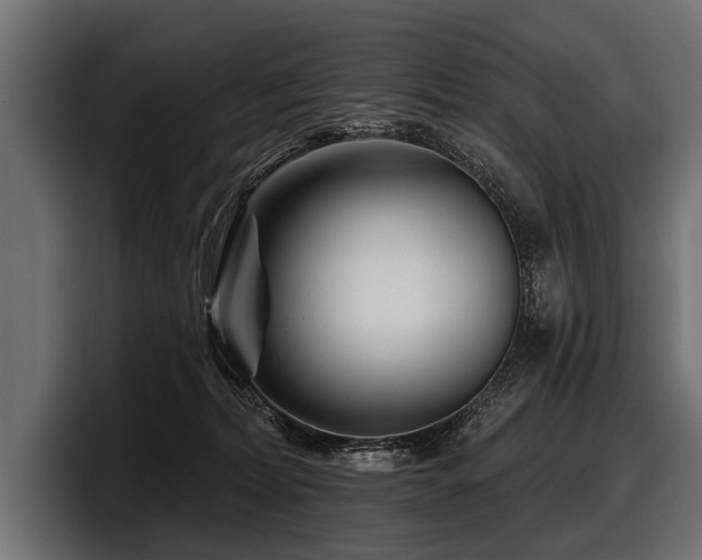 X0000097950228200803241200