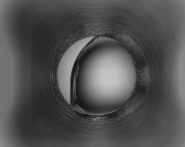 X0000097950229200803241200