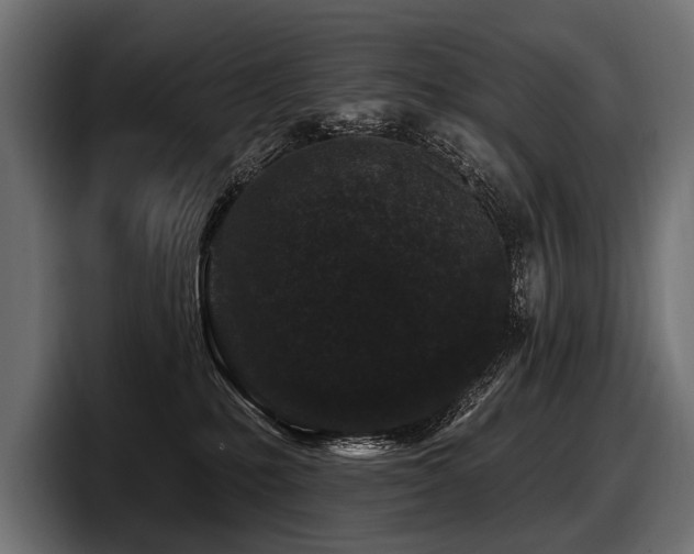 X0000097950231200803241200