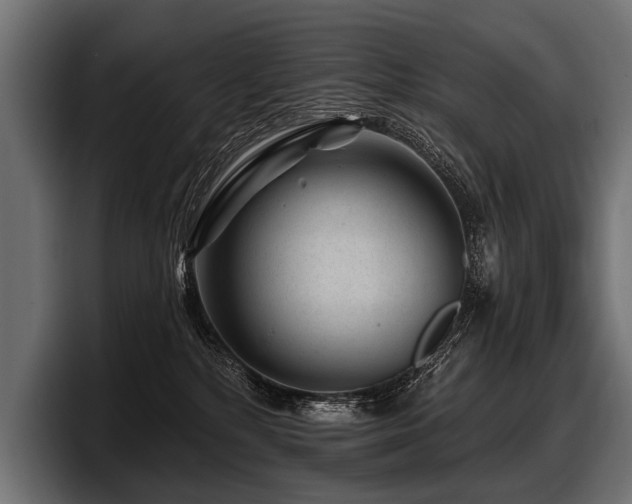 X0000097950232200803241200