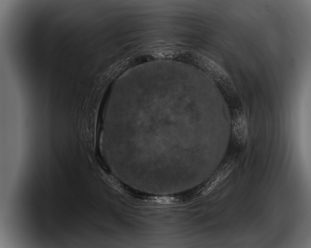 X0000097950233200803241200