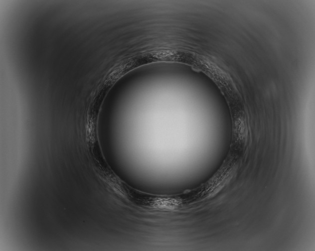 X0000097950234200803241200