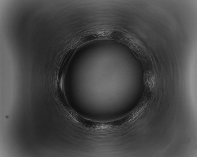 X0000097950235200803241200