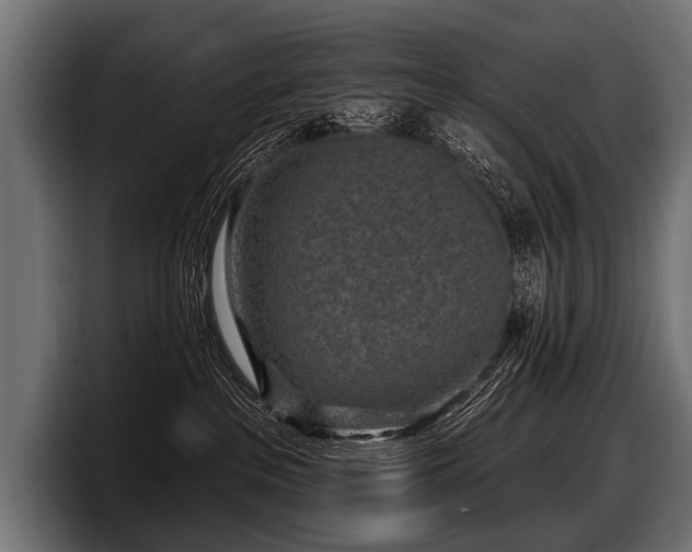 X0000097950237200803241200