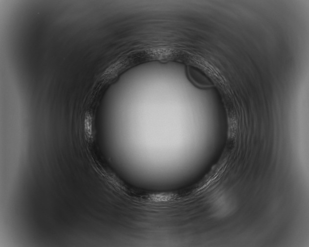 X0000097950238200803241200