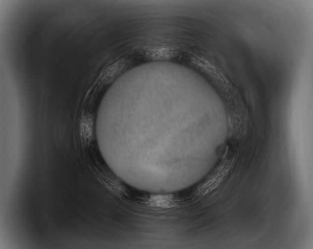 X0000097950240200803241200