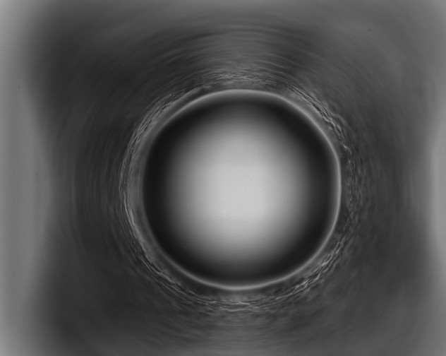 X0000097950241200803241159