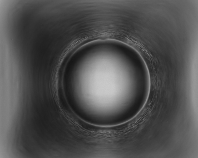 X0000097950242200803241159