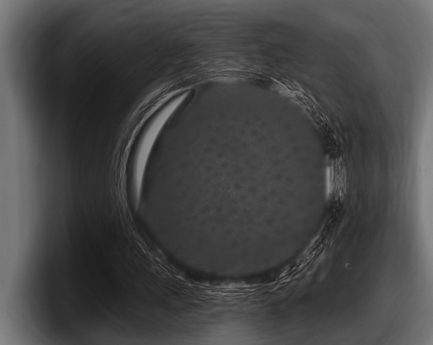 X0000097950243200803241159