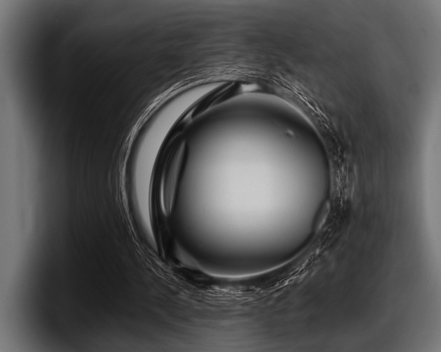 X0000097950244200803241159