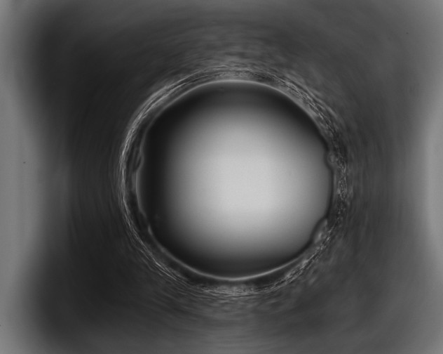 X0000097950245200803241159