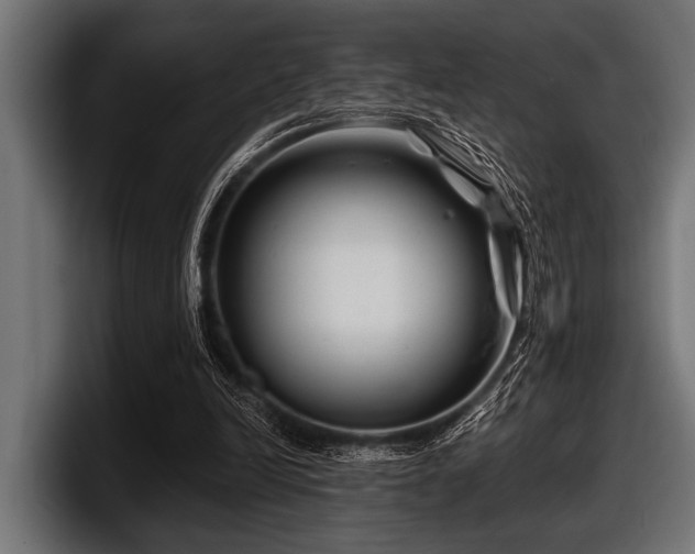 X0000097950246200803241159