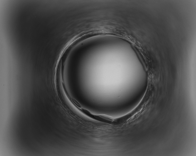 X0000097950248200803241159