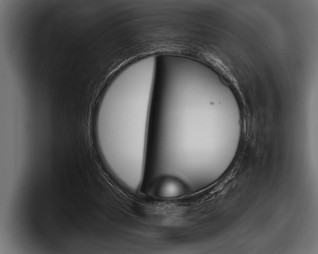 X0000097950249200803241159