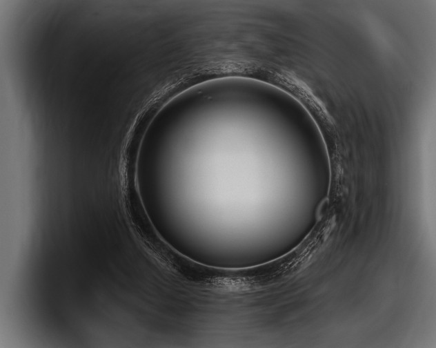 X0000097950250200803241159