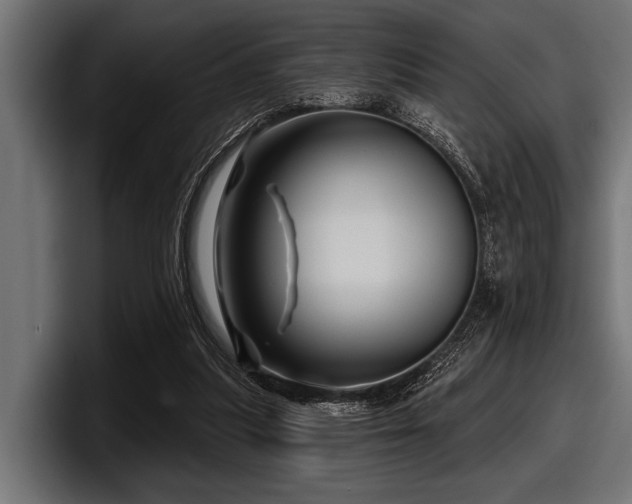 X0000097950251200803241159