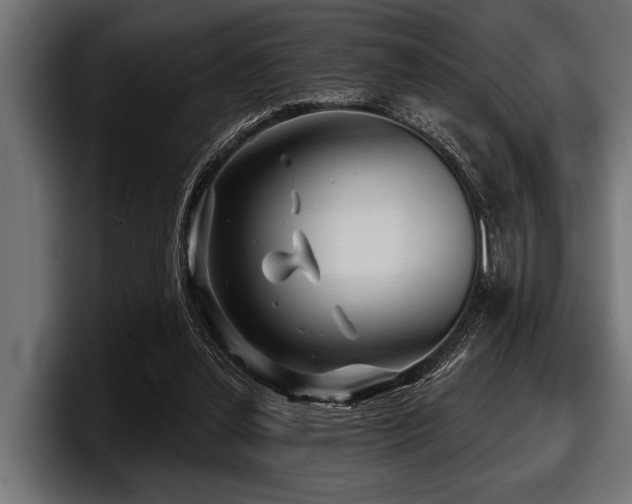 X0000097950252200803241159