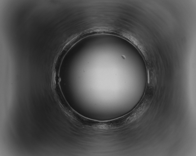 X0000097950253200803241159