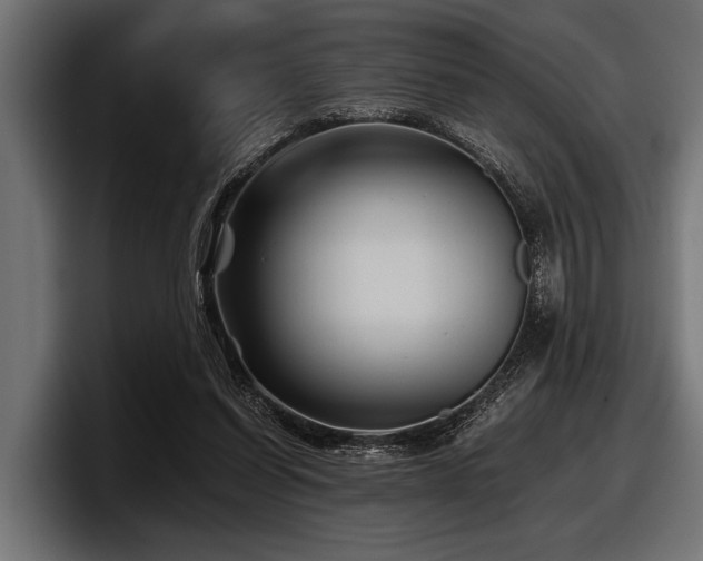 X0000097950254200803241159