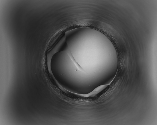 X0000097950256200803241159