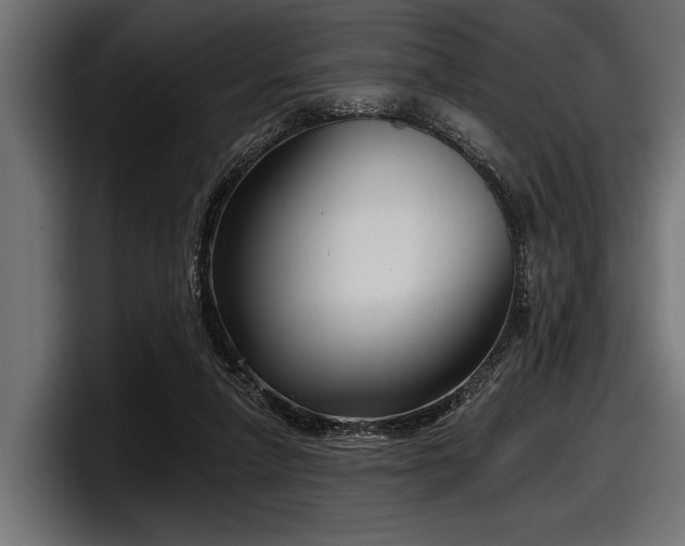 X0000097950258200803241159