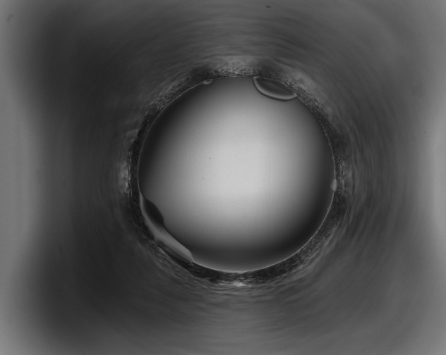 X0000097950259200803241159
