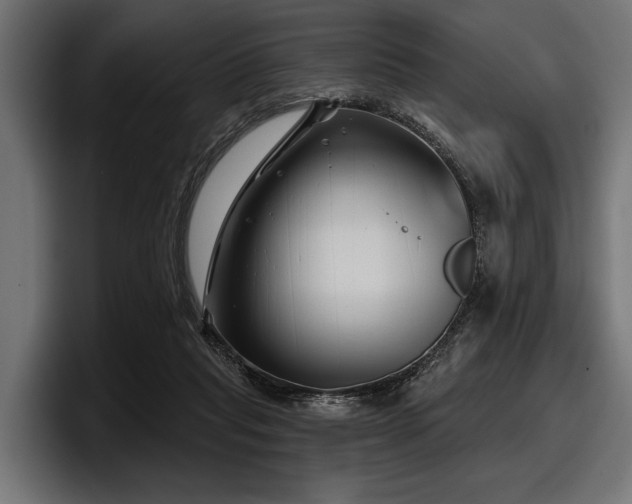 X0000097950261200803241159