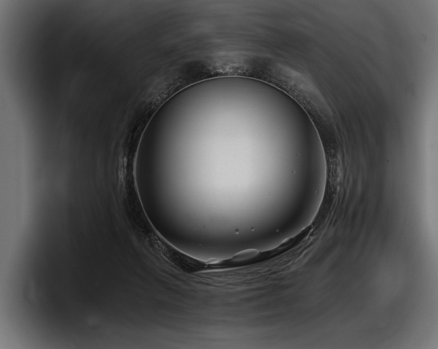 X0000097950263200803241159