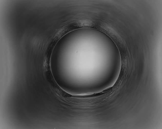 X0000097950264200803241159