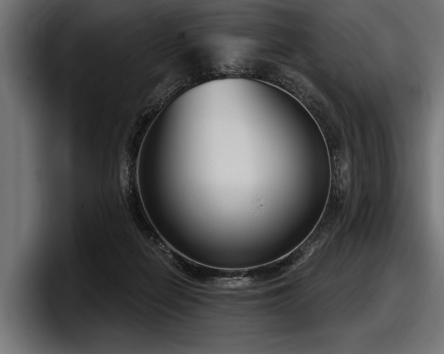 X0000097950266200803241159