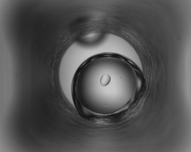 X0000097950268200803241159