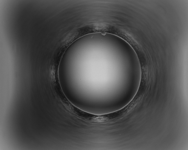 X0000097950269200803241159