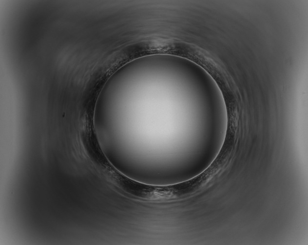 X0000097950270200803241159