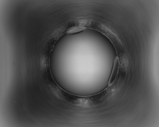 X0000097950272200803241159